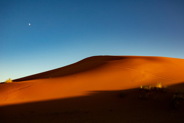 Fototapeta na wymiar Sahara Desert during sunset, Merzouga, Morocco