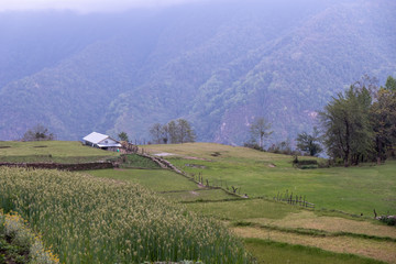 Village and Rice field in Himalayas Mountains