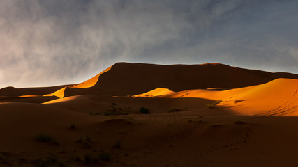 Sahara Desert during sunset, Merzouga, Morocco