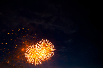 colorful firework display. Brightly colorful fireworks and salute of various colors