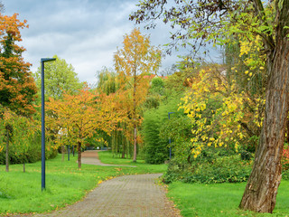 Naklejka premium Herbstlandschaft im Margräflerland Südschwarzwald. Bad Bellingen. Wundervolle Parkatmosphäre zu genießen in Botanischer Garten und Kurpark