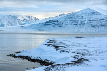 Raudfjord in the Svalbard Islands in the high Arctic