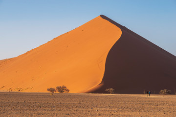 Fototapeta na wymiar red sand dune in Namibia