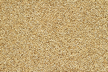 White quinoa seeds ,organic food ,good nutrition for health (Chenopodium quinoa),top view.