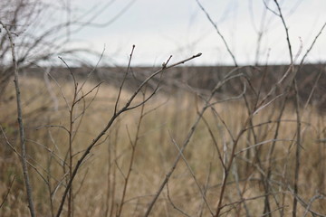 Obraz premium plowed field of black soil