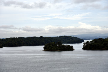 Fototapeta na wymiar Landscape of the Panama Canal (islands on the Gatun Lake) view from the transiting cargo ship.