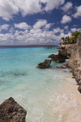 Fototapeta premium sea beach coast tropical Bonaire island Caribbean sea