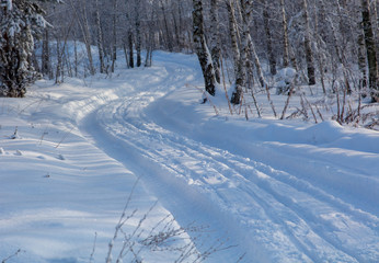 Fototapeta na wymiar Road in the forest in the snow