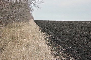 plowed field of black soil of Ukraine in autumn