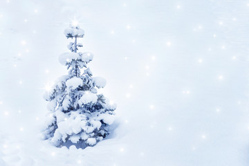 Naklejka na ściany i meble Winter background with small Christmas tree covered with snow