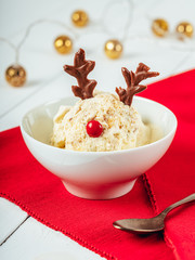 Christmas Rain-deer Mince Pie Ice Cream