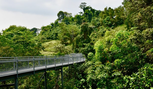  metal footbridge on the Southern Ridges trail in Singapore