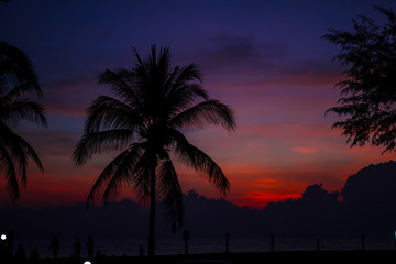 Naklejka premium sunset on the beach