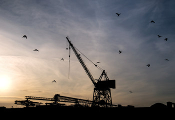 Industrial crane and buildings silhouetted at sunset. Many birds in the sky. North Vancouver, BC, Canada