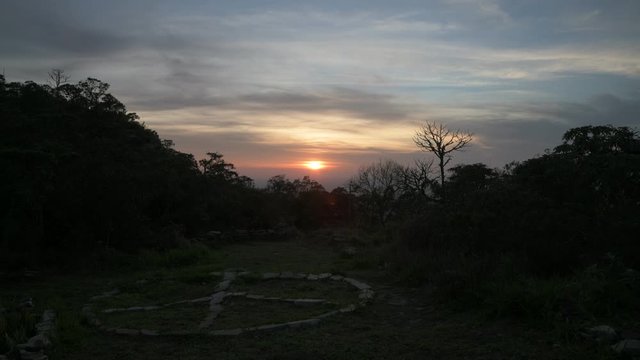 Peace Symbol and Trees at Sunrise in Brazil