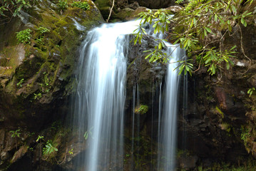 Close up of a waterfall dropping off a outcrop into a canyon surrounded by vegetation