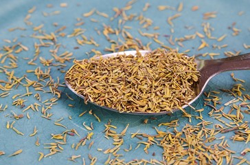 Close up of isolated spoon full with dry thyme herb seeds spice on scratched old blue china dish