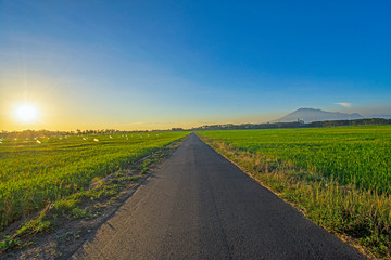 Naklejka premium Street view straight with sunset