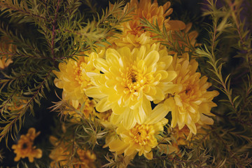 Beautiful yellow chrysanthemums bouquet - 300945467