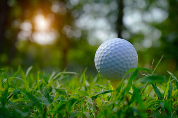 Golf ball on tee in beautiful golf course