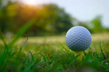 Golf ball on tee in beautiful golf course