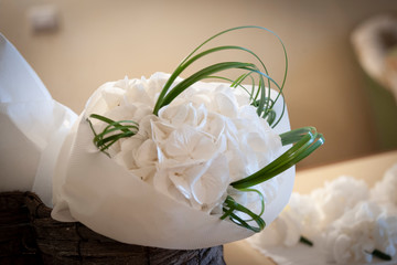 fiori bianchi