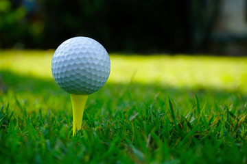 Golf ball on tee in beautiful golf course.