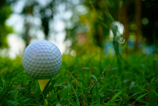 Golf ball on tee in beautiful golf course.