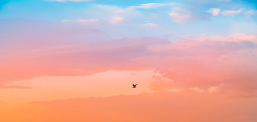 Beautiful sunset sky. Nature sky backgrounds.	