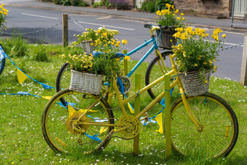 Decorative baskets with yellow flowers adorn the front and rear of two painted bicycles on a grass verge along the route of The Tour de Yorkshire, Ripley, North Yorkshire, England, UK.