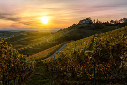 Castle Staufenberg in Durbach Germany in the Black Forest Mountains with a vineyard during sunset at golden hour	