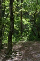 The mountains landscape