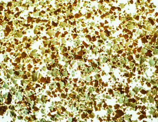 Eggshells make an interesting pattern when shot with a white light background and color adjusted