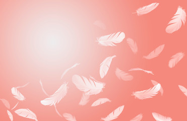 Soft white feathers floating in the air, feather abstract background