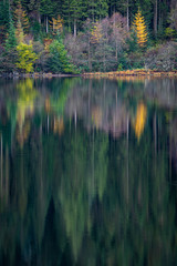 Fototapeta na wymiar Autumn reflections on Loch Chon, Scotland