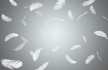 Soft white feathers floating in the air, Feathers abstract background