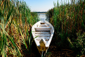 boat on the river