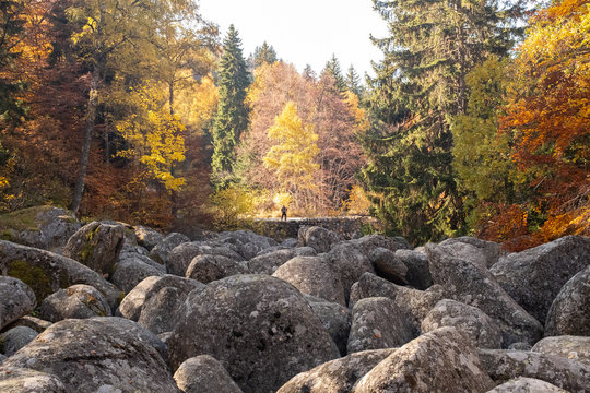 autumn in the park