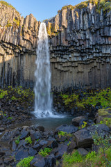 Svartifoss Waterfall in Iceland near Vatnajokull glacier, famous for its wide basalt stone wall