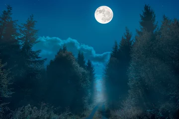 Papier Peint photo Lavable Pleine lune A hiking trail on a ridge in Germany. It is night and the full moon is over the way. It is foggy and the scenery is bathed in mist.