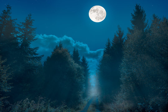 A hiking trail on a ridge in Germany. It is night and the full moon is over the way. It is foggy and the scenery is bathed in mist.