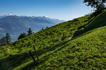 Fototapeta na wymiar Green Alpine Hillside with Snow Kissed Mountain Tops and Blue Skies in Switzerland