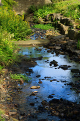 Naklejka na ściany i meble Rocks and stones scattered along a shallow stream.