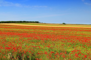 Italy beautiful landscape