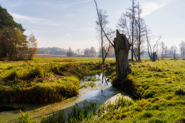 Słoneczny dzień w Dolinie Górnej Narwi, Podlasie, Polska © podlaski49