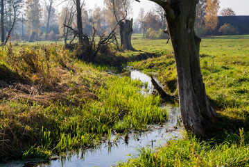 Słoneczny dzień w Dolinie Górnej Narwi, Podlasie, Polska © podlaski49