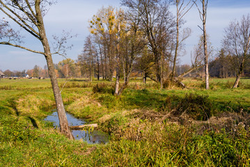 Słoneczny dzień w Dolinie Górnej Narwi, Podlasie, Polska © podlaski49