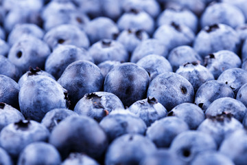 Summertime fresh farmer blueberries fruit pattern background