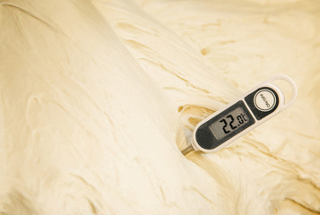 Bread dough being lifted during the rest phase with a thermometer