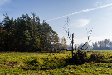 Słoneczny dzień w Dolinie Górnej Narwi, Podlasie, Polska © podlaski49